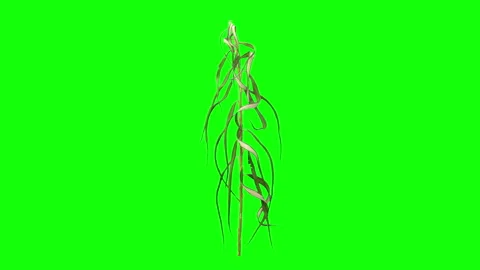 Willow tree leaves wilting and fading, 4K time lapse Stock Footage 343574353