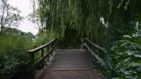 Willow Tree Swaying in the Breeze over a Bridge in a Park Slow Motion Stock Footage 340998499