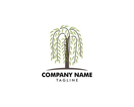 Willow Tree Symbol Logo Vector Stock Illustration
