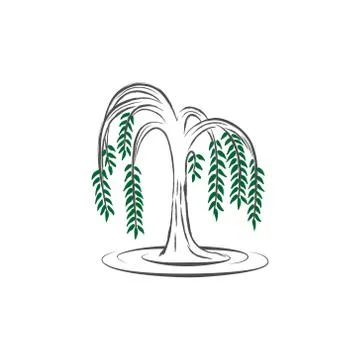 Willow tree vector illustration Stock Illustration