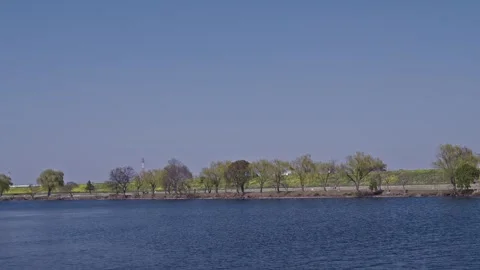 Willow Trees and Rapeseed Strip Along Opposite Riverbank in Early Spring, Japan Stock Footage 337973406