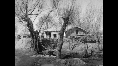 Willow trees swinging in wind in small Chinese village, 1939 China Vídeo Stock 131527342