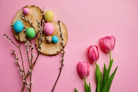 Willow, tulips and easter eggs on pink background Stock Photos