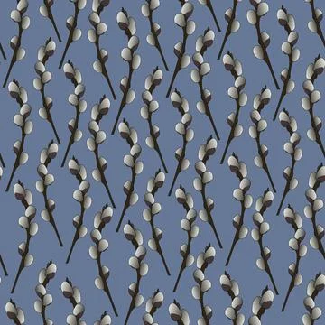 Willow twig. Branch of a tree. Stock Illustration