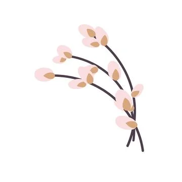Willow twig. Easter willow.vector illustration Stock Illustration