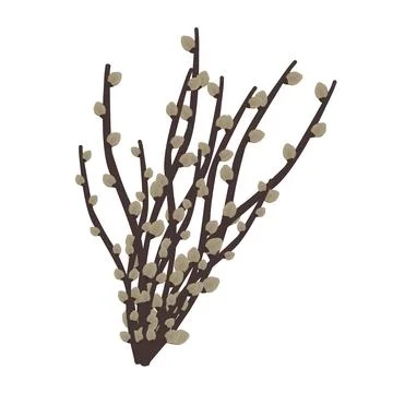 Willow twig, illustration Stock Illustration
