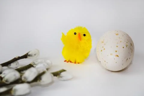 Willow twigs, chicken and Easter egg on the hay are on a white isolated  Stock Photos