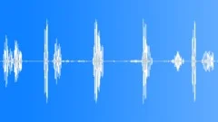 Willow warbler. BirdsongSound Effect