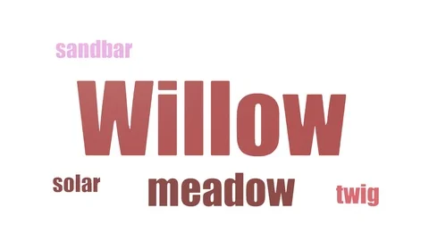 Willow Word Cloud Animated On White Background Stock Footage 107206713