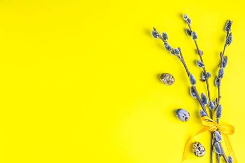 Willow on a yellow background. quail eggs. Spring, Easter. Stock Photos
