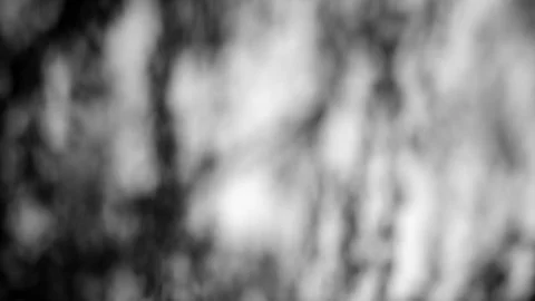 Willow1 with White Linen Dappled Light motion background Stock Footage 86489332