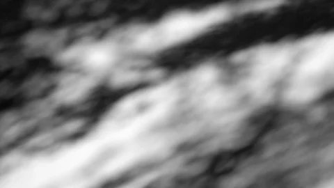 Willow3 with Linen1 Dappled Light motion background Stock Footage 86488546