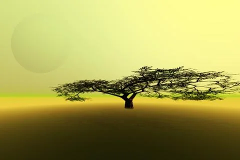 Willoway Stock Illustration