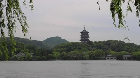 Willows and Leifeng tower in west lake (xihu), Hangzhou, Zhejiang, China Stock Footage 136526182