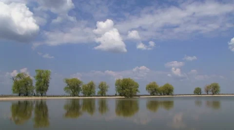 Willows Around Lake Stock Footage 52701853