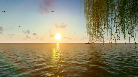 Willows swaying in the wind by the lake Stock Footage 295402015