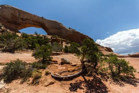The Wilson Arch, UT Stock Photos