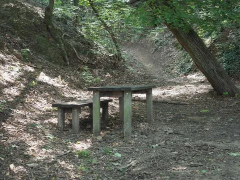 Wilson forest in Brno Stock Photos
