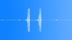 Wilsons Bird of Paradise Sound Effect