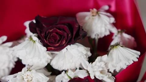 Wilted bouquet in red wrapper on white surface Stock Footage 329021397