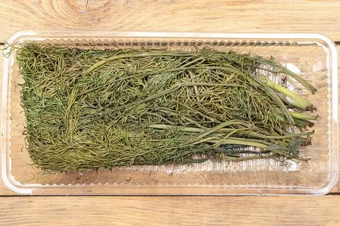 Wilted bunch of dill in a plastic container on a wooden background. Stock Photos