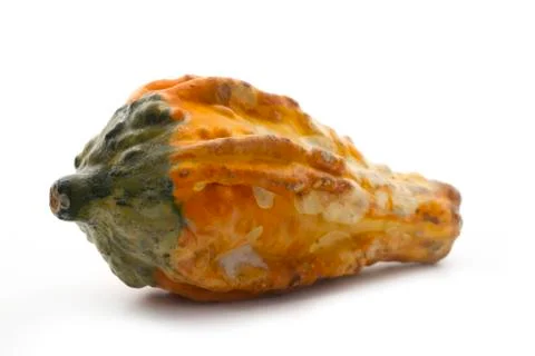 Wilted pumpikn Stock Photos