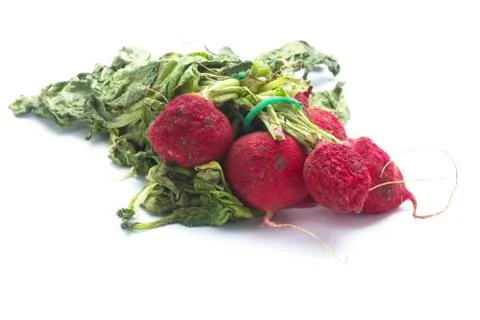 Wilted radish Stock Photos