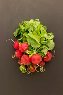 Wilted radish Stock Photos