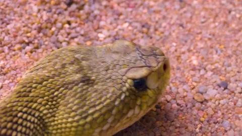 WIM10-19b40 Stock Footage 310014830