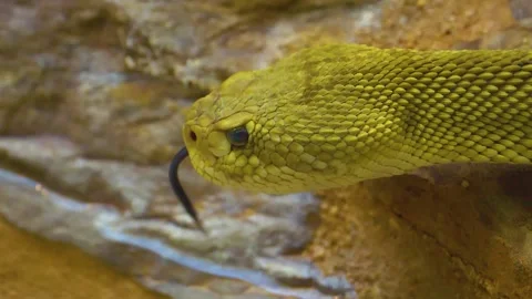 WIM10-19b41 Stock Footage 310016535