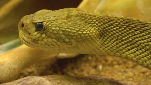 WIM10-19b42 Stock Footage 310014915