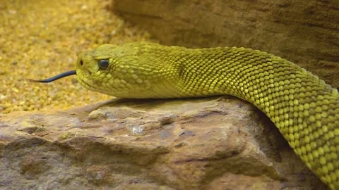 WIM10-19b43 Stock Footage 310016582