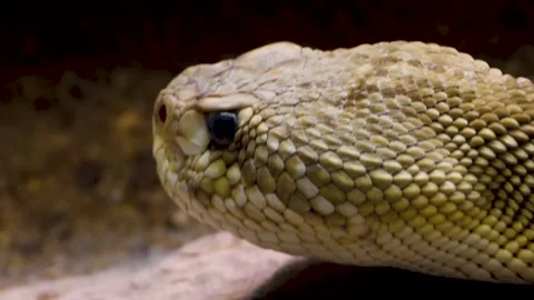 WIM10-19b44 Stock Footage 310014998