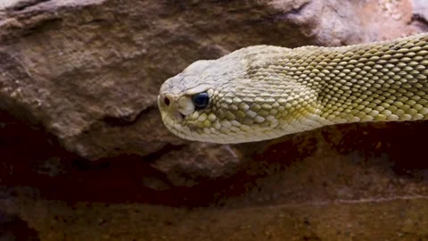 WIM10-19b45 Stock Footage 310016570