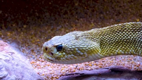 WIM10-19b46 Stock Footage 310014956