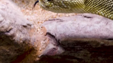 WIM10-19b47 Stock Footage 310016545