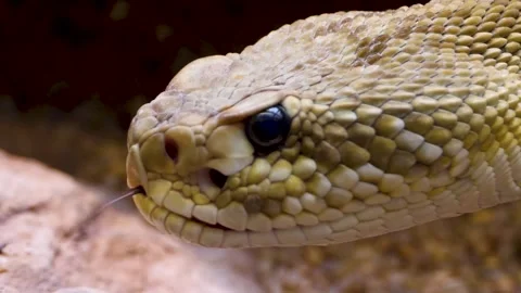 WIM10-19b48 Stock Footage 310014932