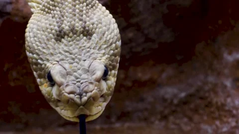 WIM10-19b49 Stock Footage 310016547