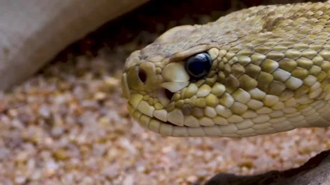 WIM10-19b50 Stock Footage 310015167