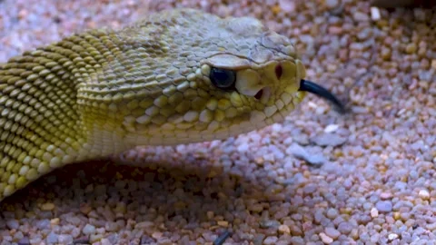 WIM10-19b51 Stock Footage 310016692