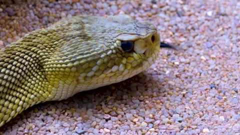 WIM10-19b52 Stock Footage 310015190