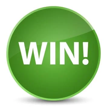 Win elegant soft green round button Illustrazione stock