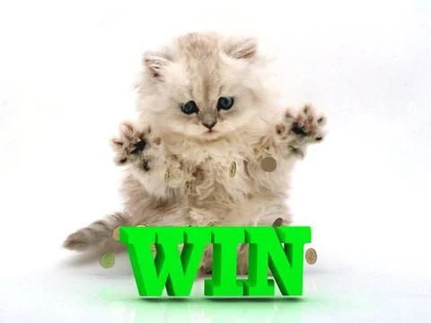 WIN  Feathery kitty with feathery raised upwards paws on white background Stock Illustration