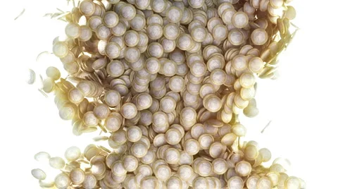 Win a fortune Stock Footage 6208038