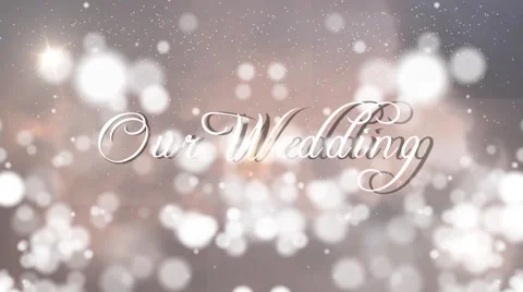 Win Wedding Stock After Effects