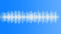WINCHSound Effect