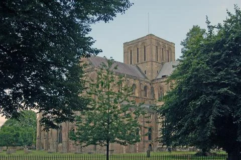Winchester cathedral Stock Photos