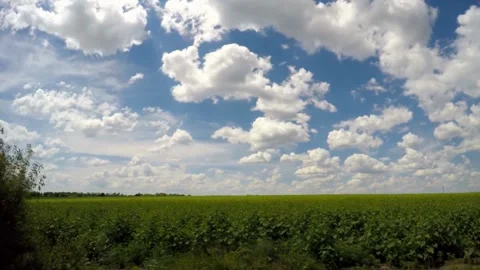 Wind and clear skies on a vast expanse of prairie meadows time lapse nature Видео 336568689