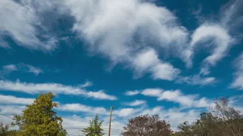 Wind and Clouds Blow through Forest with Telephone Pole Stock Footage 283061381