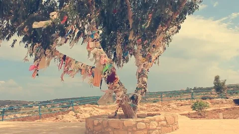 Wind and Cyprus tree of wishes Video stock 82429627